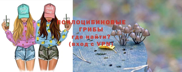 альфа пвп Беломорск