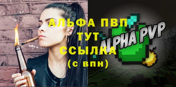 СК Белокуриха