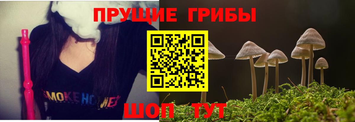 Верхний Уфалей  Псилоцибиновые грибы мухоморы  Вход с VPN 